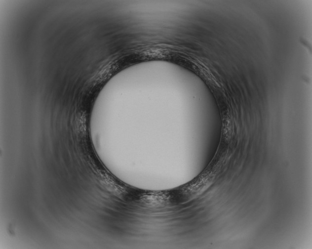 X0000097000466200802291151