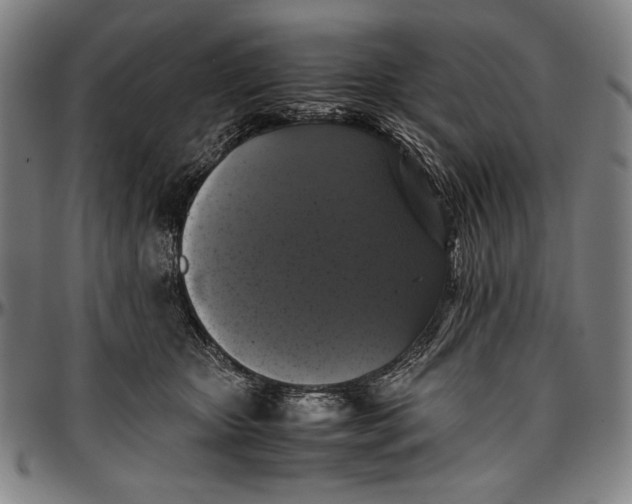 X0000097000467200802291151