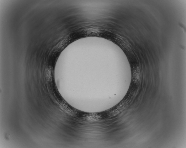 X0000097000468200802291151