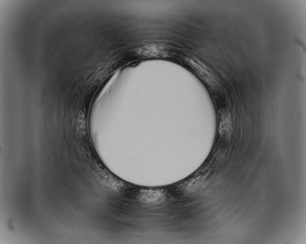 X0000097000469200802291151