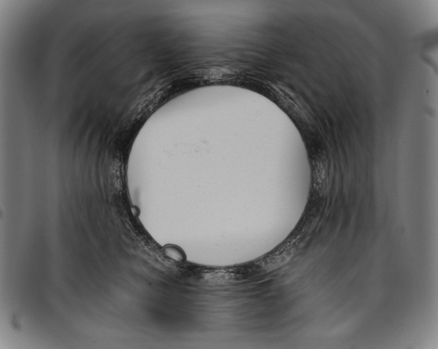 X0000097000470200802291151