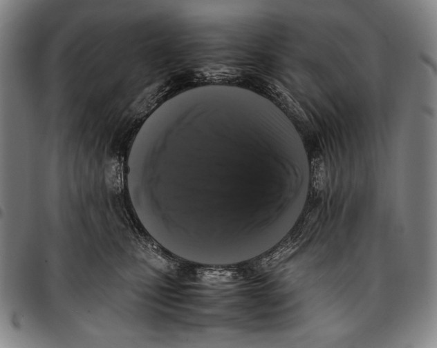 X0000097000471200802291151