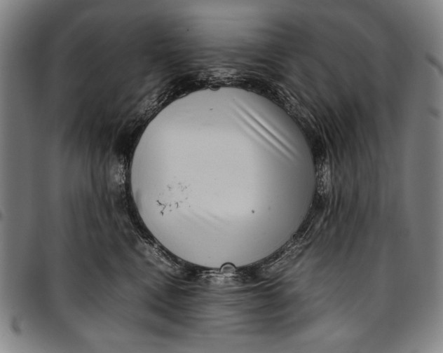 X0000097000472200802291151