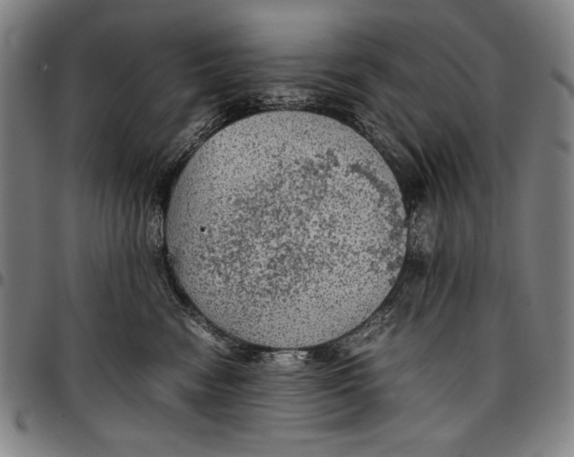 X0000097000474200802291151