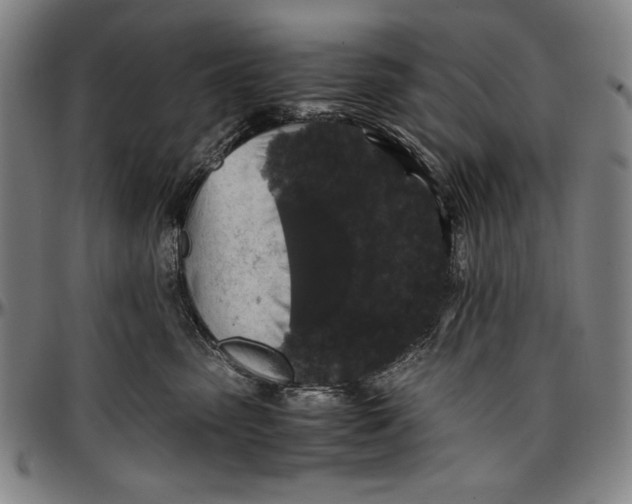 X0000097000475200802291151