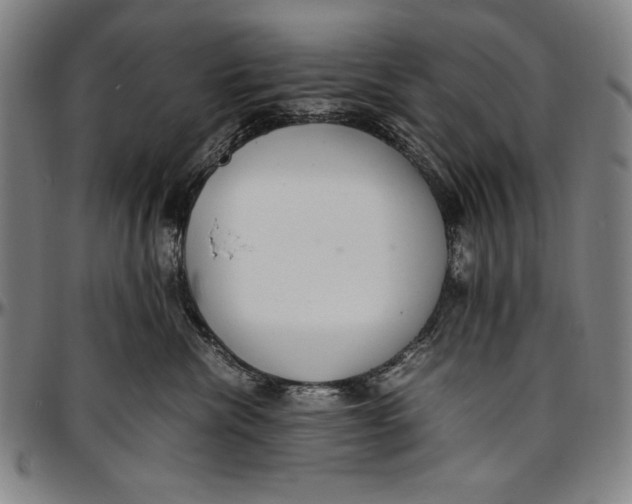 X0000097000476200802291151