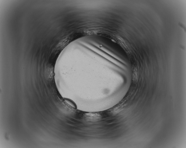 X0000097000477200802291151