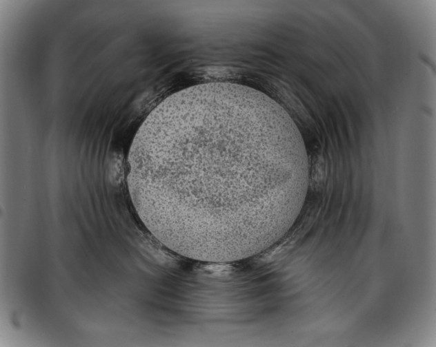 X0000097000478200802291151