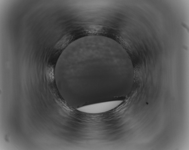 X0000097000479200802291151