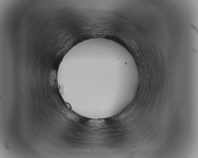 X0000097000480200802291151