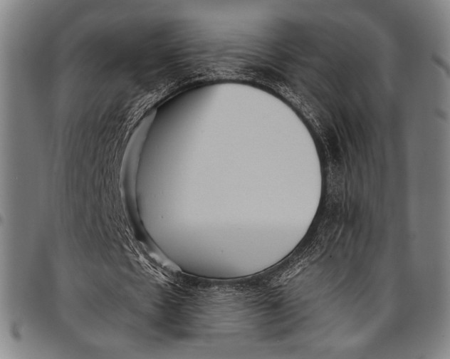 X0000097000481200802291151