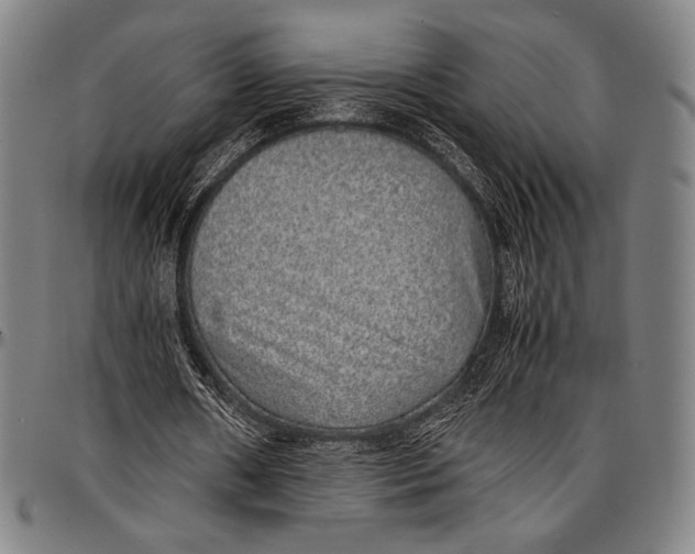 X0000097000482200802291151