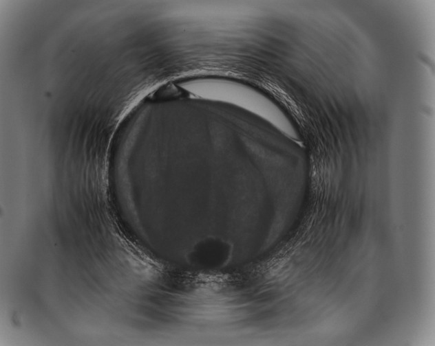 X0000097000484200802291151