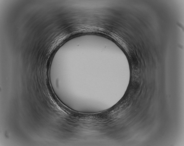 X0000097000485200802291151