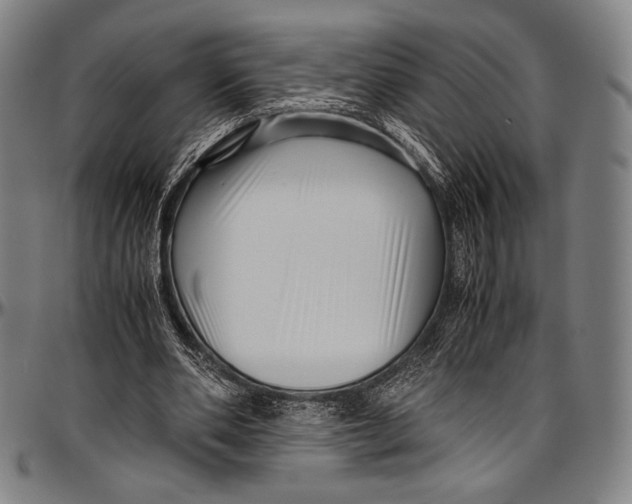 X0000097000486200802291151