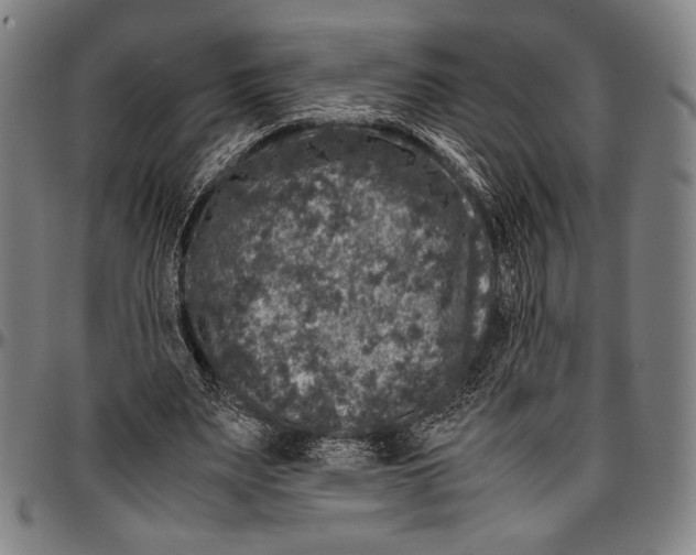 X0000097000487200802291151