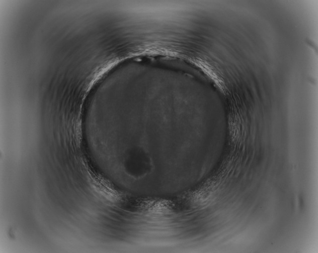 X0000097000488200802291151