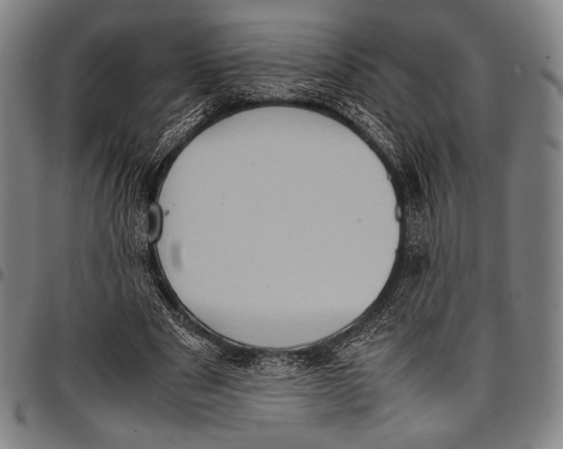 X0000097000489200802291151