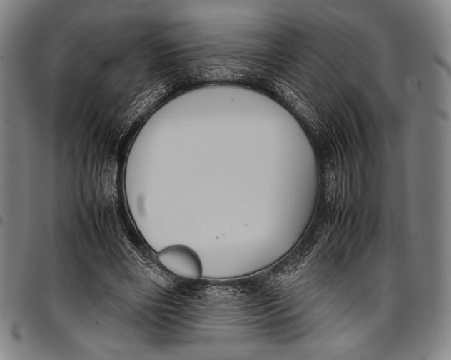 X0000097000490200802291151