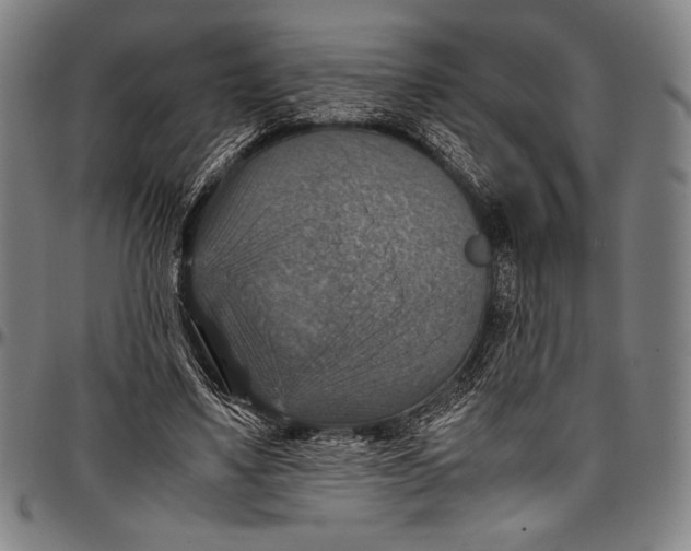 X0000097000491200802291151