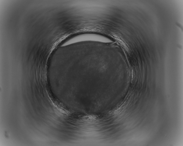 X0000097000492200802291151