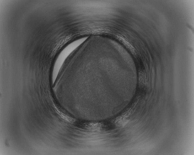 X0000097000493200802291151