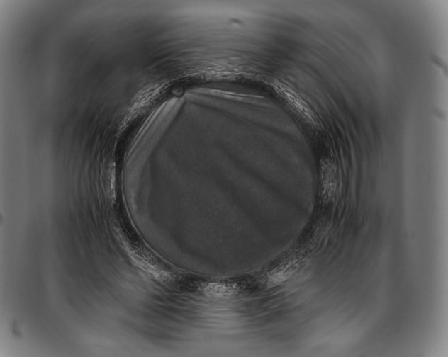 X0000097000494200802291151