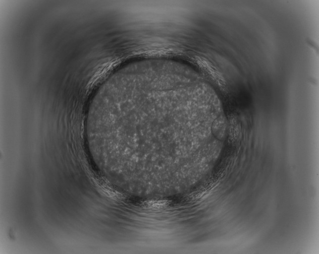 X0000097000495200802291151