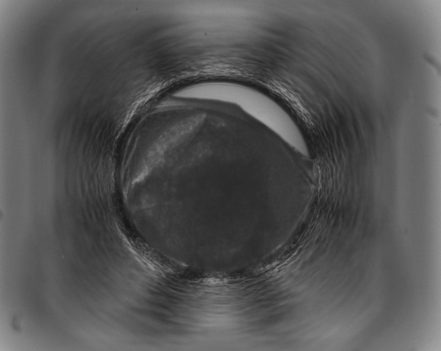 X0000097000496200802291151