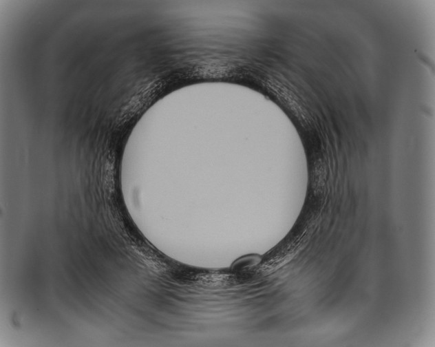 X0000097000497200802291151