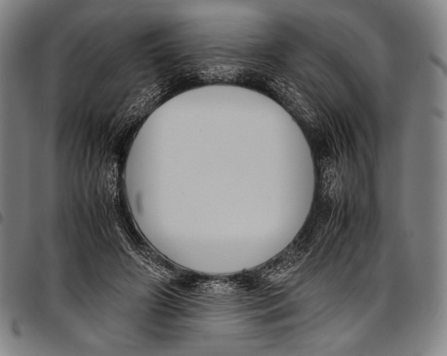 X0000097000498200802291151