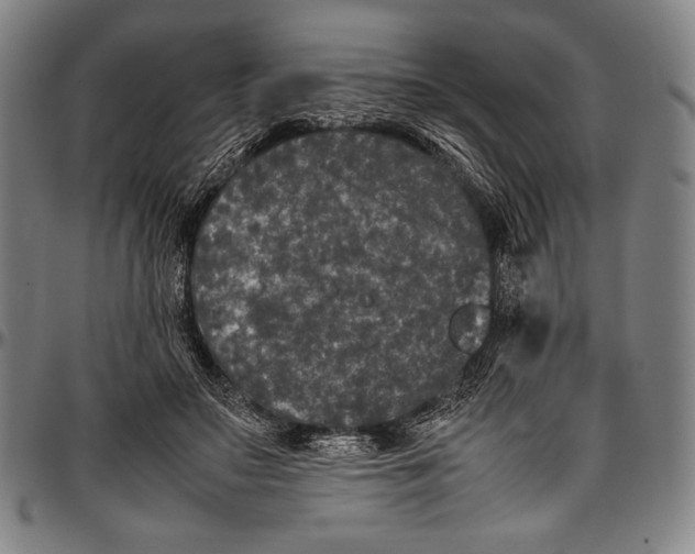 X0000097000499200802291151