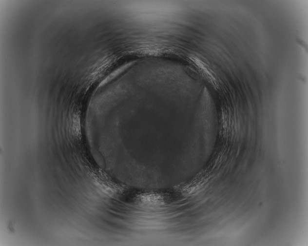 X0000097000500200802291151