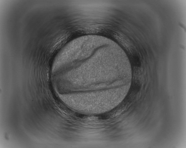 X0000097000501200802291151