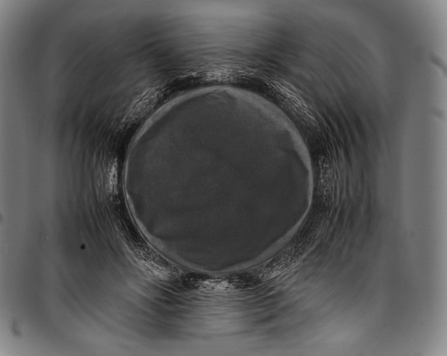 X0000097000502200802291151