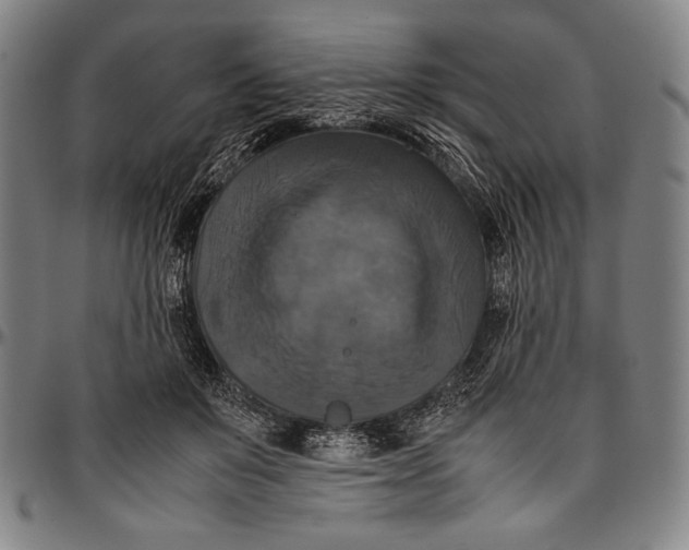 X0000097000503200802291151