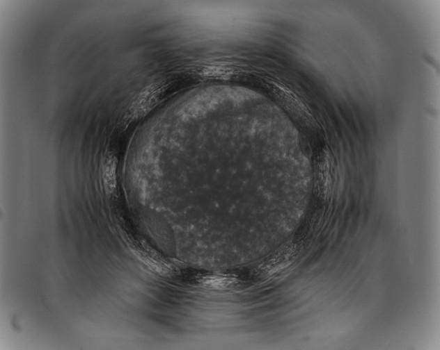 X0000097000504200802291150