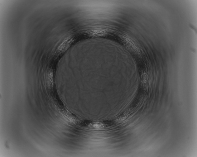 X0000097000506200802291150