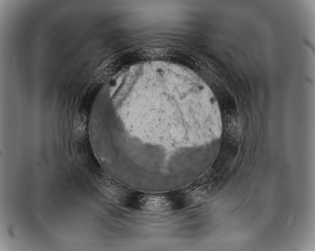 X0000097000507200802291150