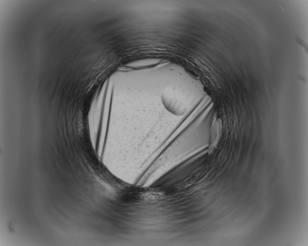 X0000097000508200802291150