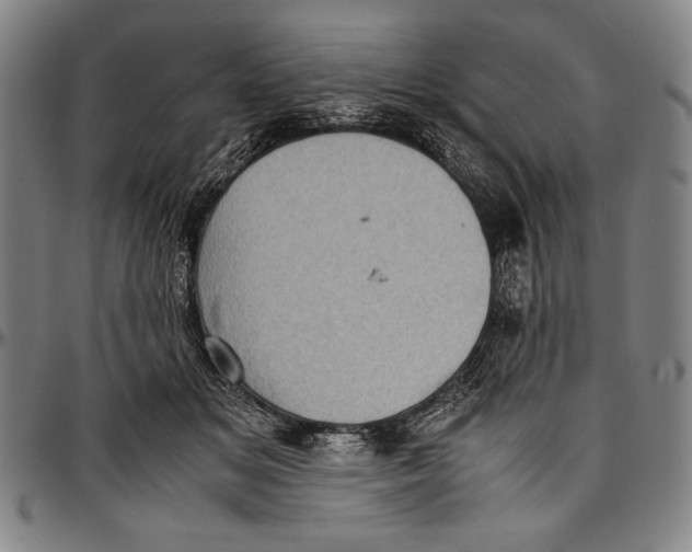 X0000097000509200802291150