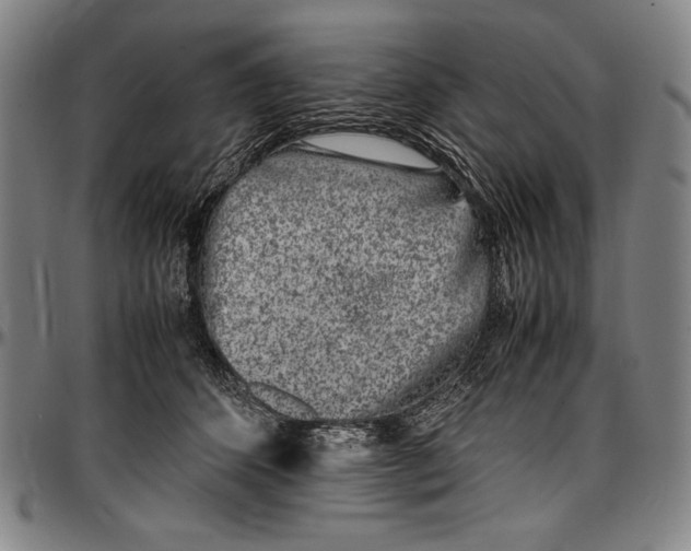 X0000097000512200802291150