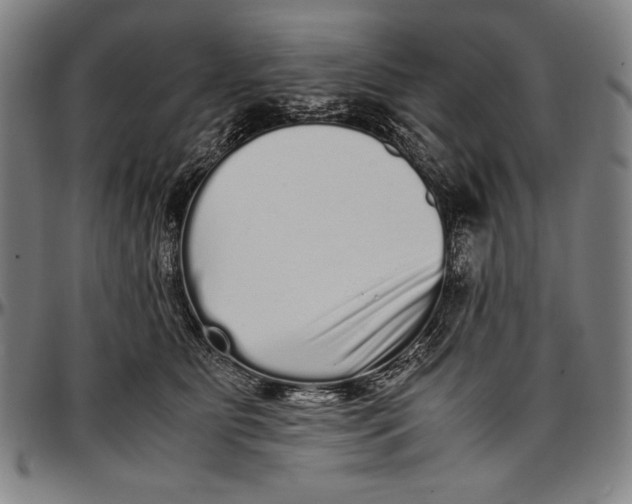 X0000097000515200802291150