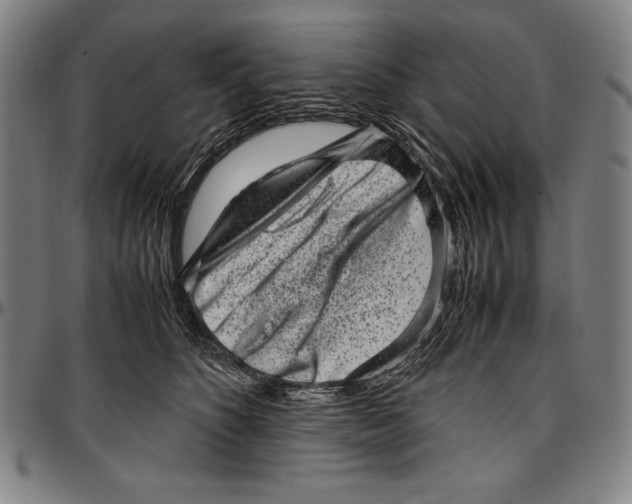 X0000097000516200802291150