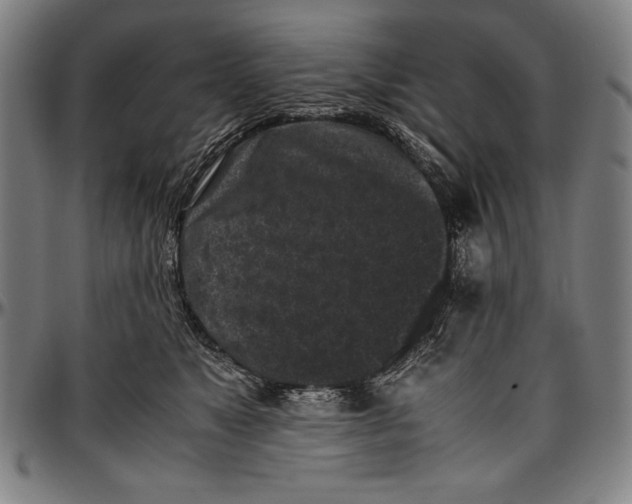 X0000097000517200802291150