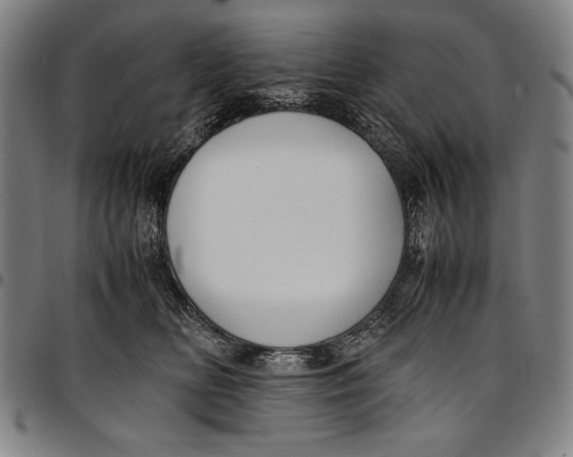 X0000097000518200802291150