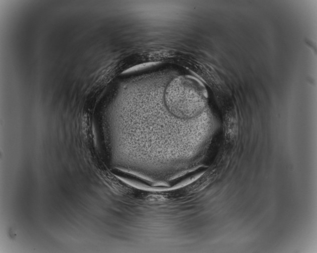 X0000097000519200802291150