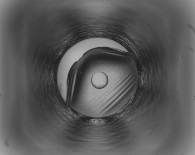 X0000097000520200802291150