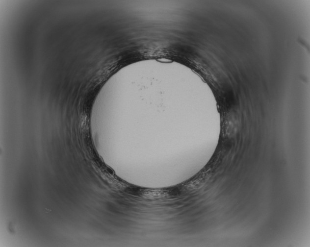 X0000097000521200802291150