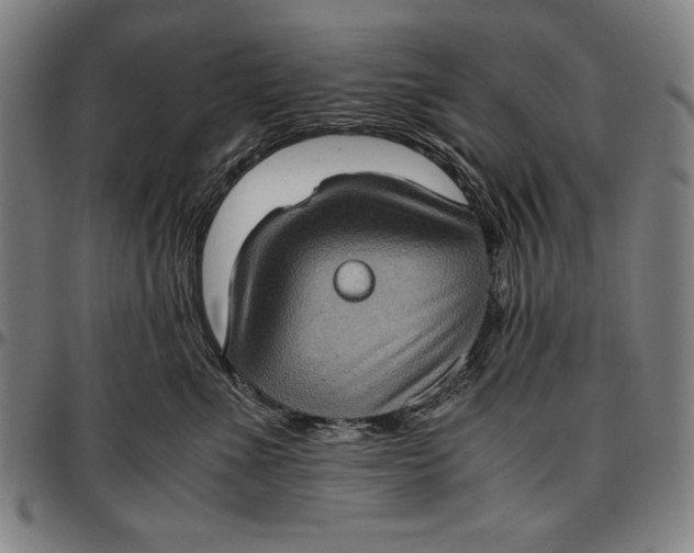 X0000097000523200802291150